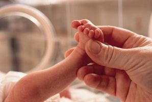 Utvikling av fordøyelsessystemet i preemie Babies