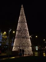 Christmas Tree Lighting Seremonier