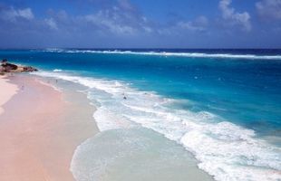 Romantisk bryllupsreise utflukter i Bahamas