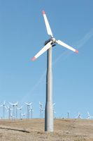 Hvordan gjøre for vindgeneratorer produsere elektrisitet?