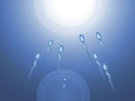 Hvordan øke Morfologi av Sperm