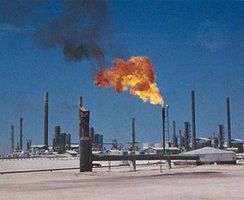 Hva er Petroleum?
