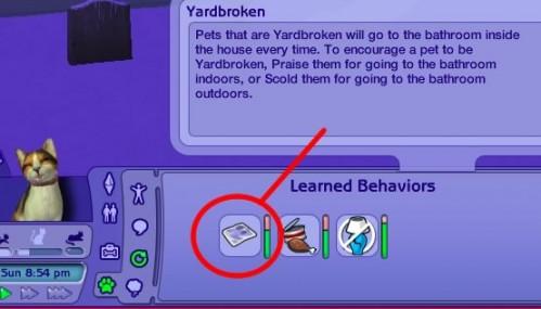 Sims 2 Dyreliv Instruksjoner