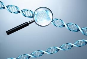 Verktøy som brukes i DNA-analyse