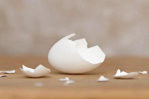 Hva er likhetene mellom Eggshells og tenner?