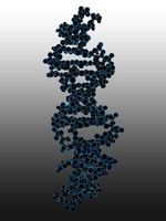 De viktigste forskjellene mellom RNA og DNA