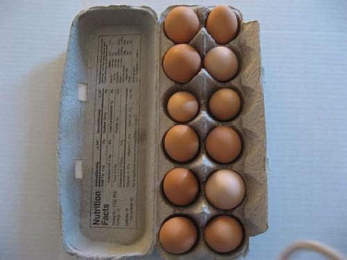 Hvordan Raise Chickens for Brown Egg Produksjon