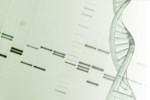 Human Genome DNA Sequence Typer