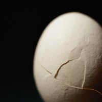 Ideer for Beholdere for en Egg Drop