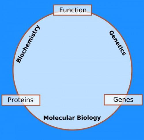 Introduksjon til Molecular Biology