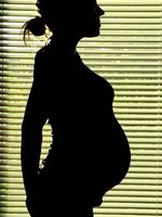 Surrogatmor Fakta