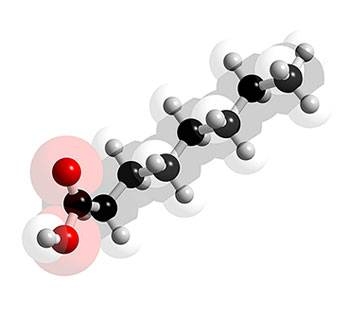 Hva er Molecular Formula kaprylsyre?