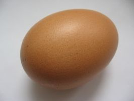 Ideer for Science Projects & Eksperimenter på egg
