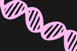 Hvordan ble DNA fingerprinting Utviklet?