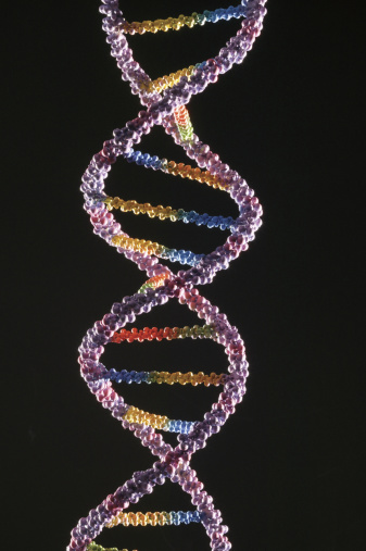 Hva slags organisk forbindelse er DNA?