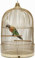 Hvordan lage en Bird Cage Veil