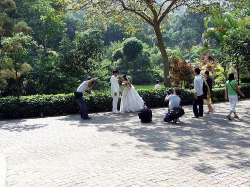 Hvordan å gifte seg i en Park