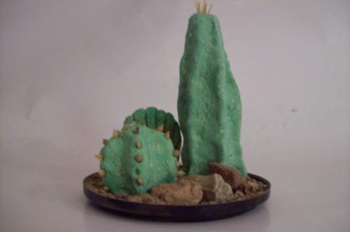 Hvordan lage en Fake Cactus