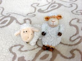 Hvordan kjøpe en Serta Sheep