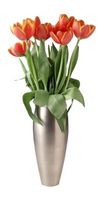 Tulip vaser fra 1950
